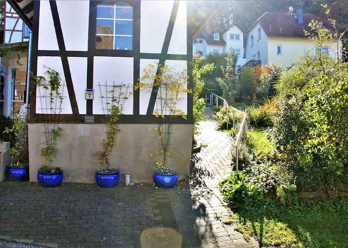 Stellina איטורף