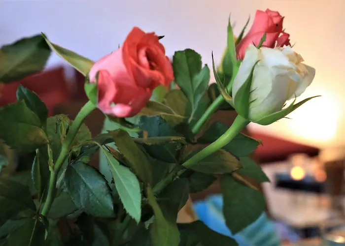 Stellina Appartement Eitorf